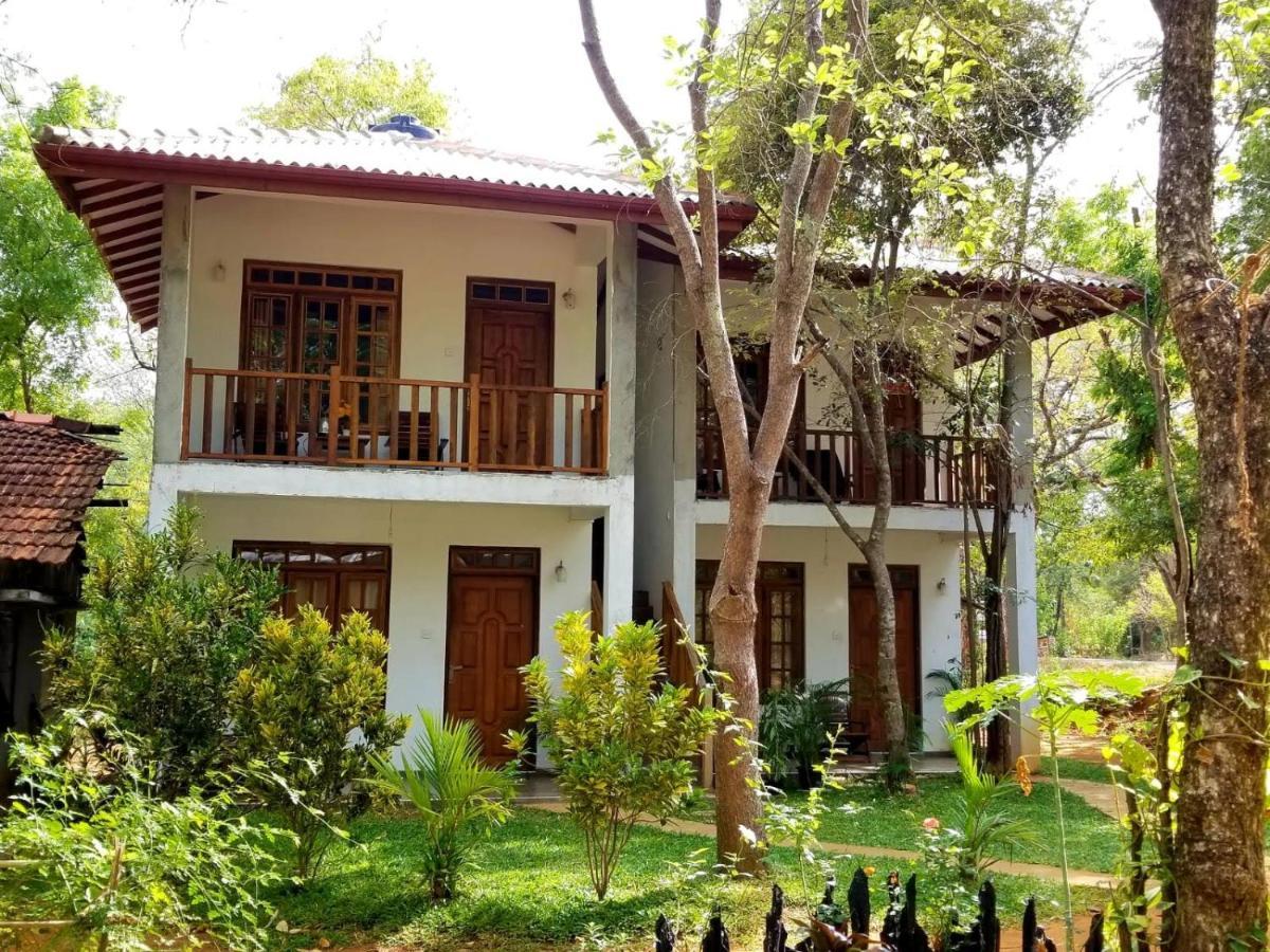Isanka Lion Lodge 시기리야 외부 사진