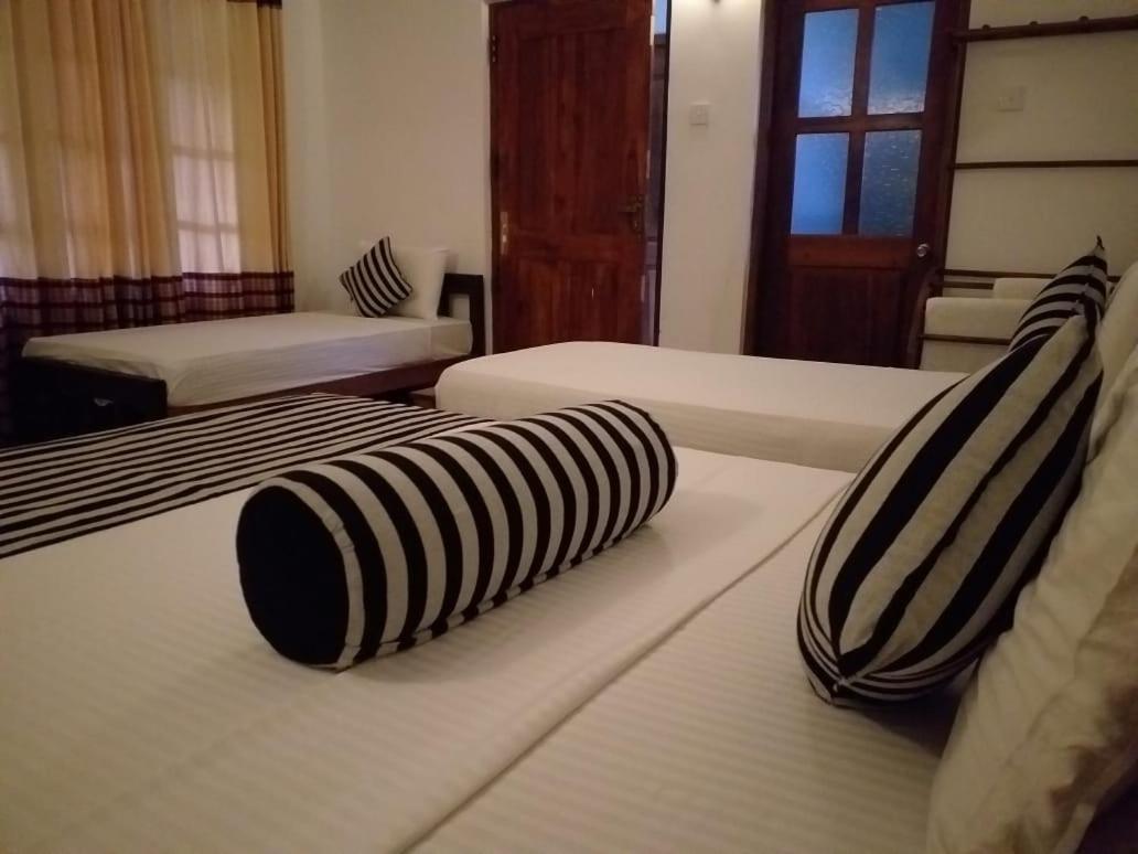 Isanka Lion Lodge 시기리야 외부 사진