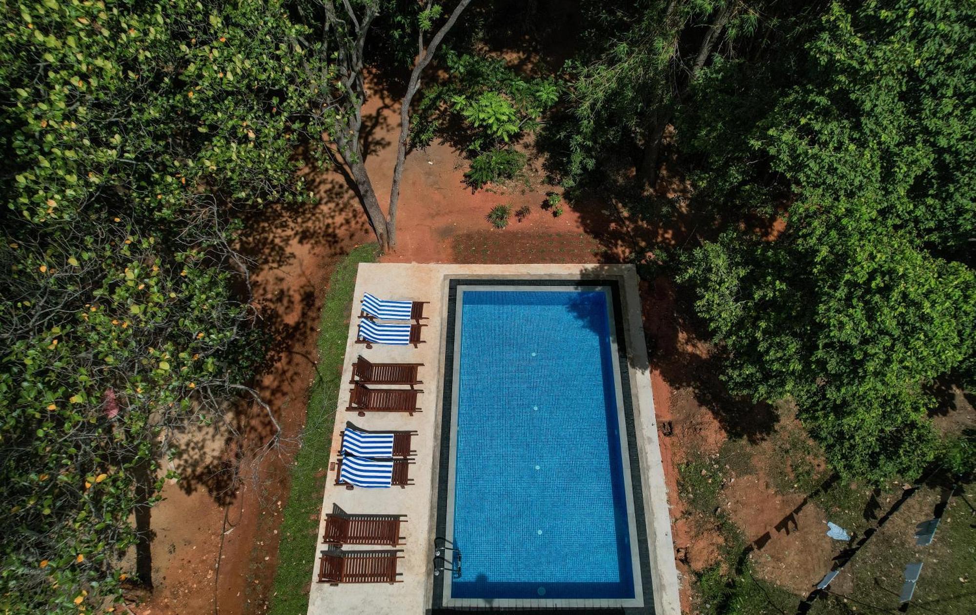 Isanka Lion Lodge 시기리야 외부 사진