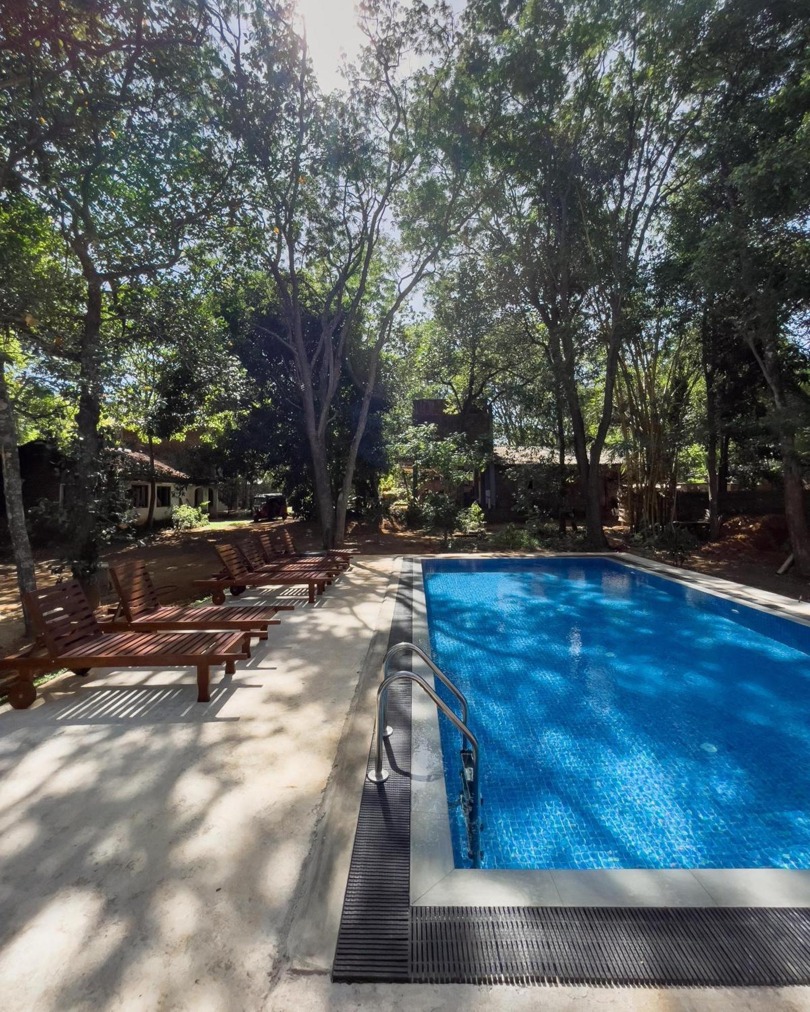 Isanka Lion Lodge 시기리야 외부 사진