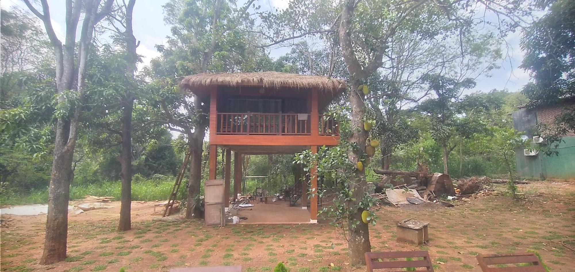 Isanka Lion Lodge 시기리야 외부 사진