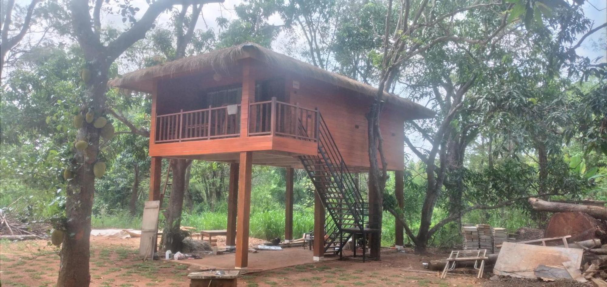Isanka Lion Lodge 시기리야 외부 사진