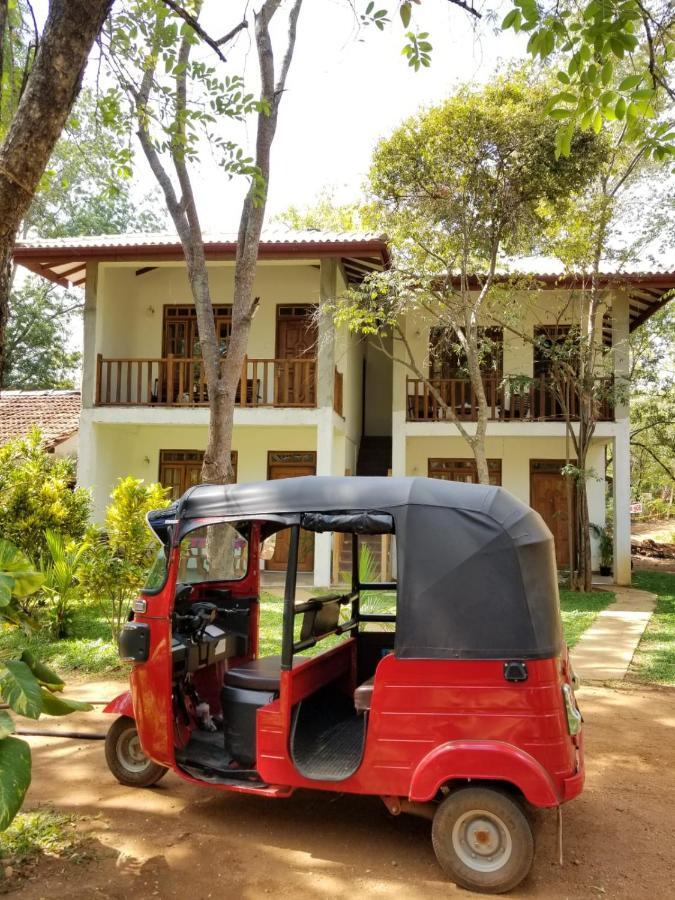 Isanka Lion Lodge 시기리야 외부 사진
